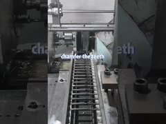 歯を張る